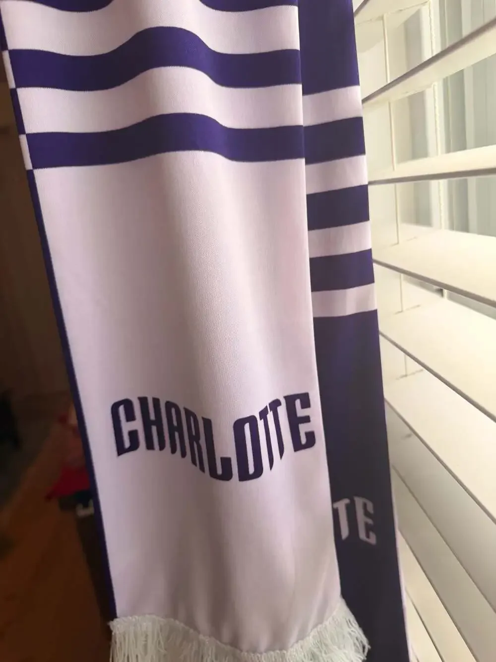 Charlotte Hornets Buzz City NBA Fan Scarf